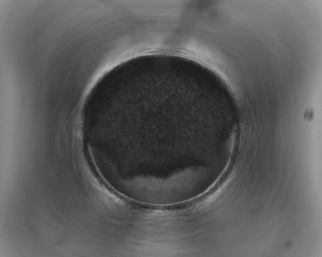 X0000094441506200711151353