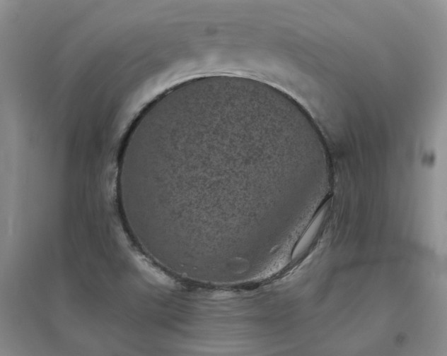 X0000094441507200711151353