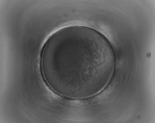 X0000094441508200711151353