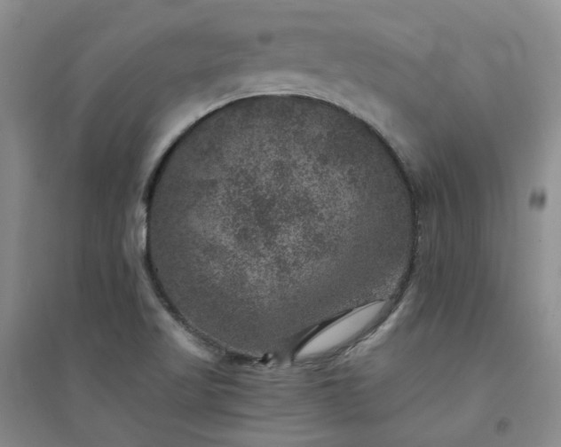 X0000094441509200711151353