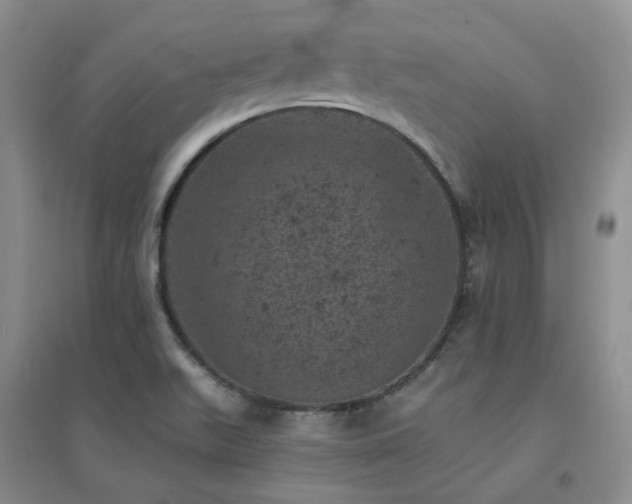 X0000094441511200711151353