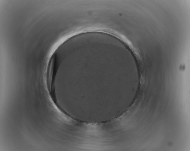 X0000094441512200711151353