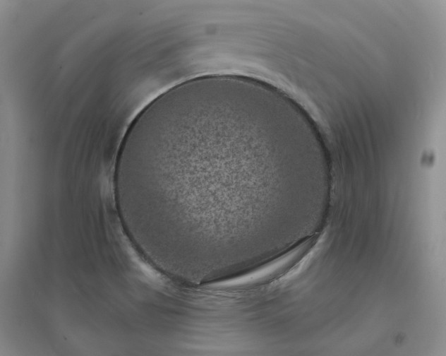 X0000094441513200711151353