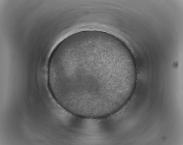 X0000094441514200711151353