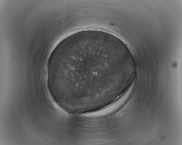 X0000094441515200711151353