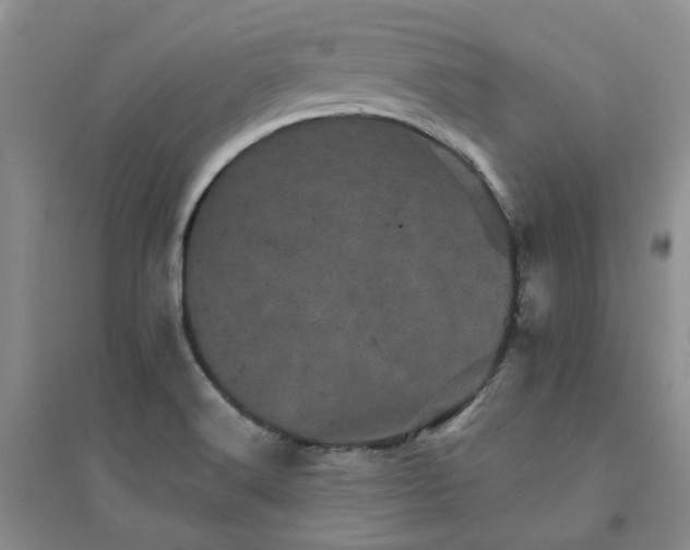 X0000094441516200711151353