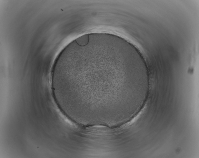 X0000094441517200711151353