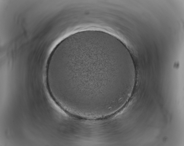 X0000094441518200711151353