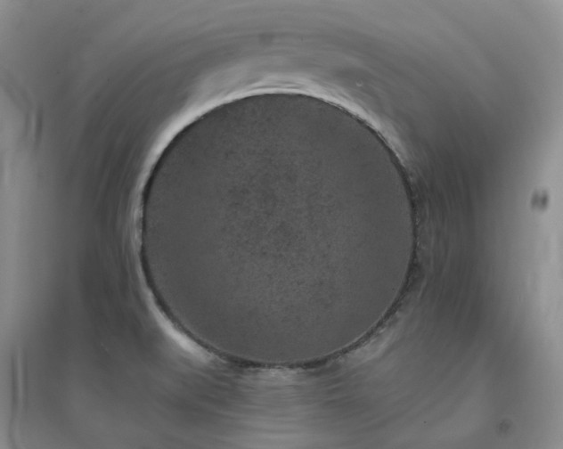 X0000094441519200711151353