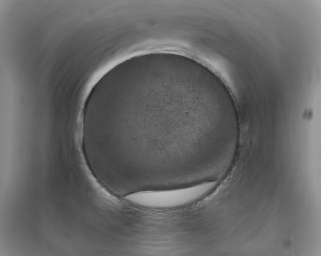 X0000094441520200711151353