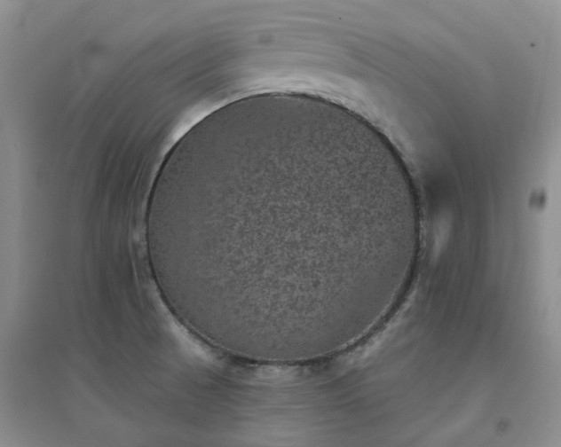 X0000094441521200711151353
