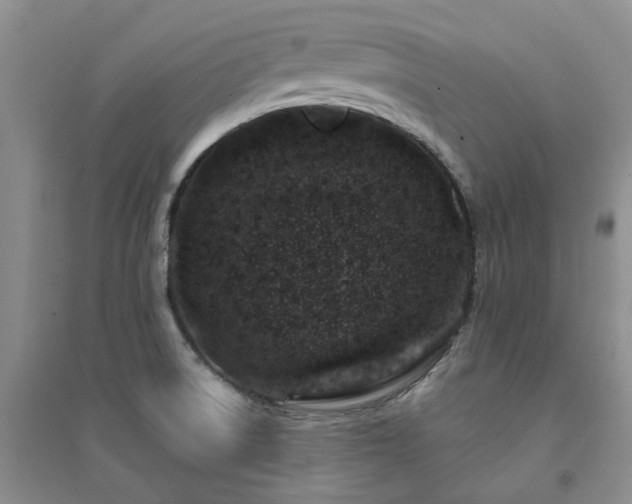 X0000094441522200711151353