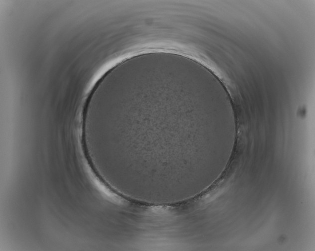 X0000094441523200711151353