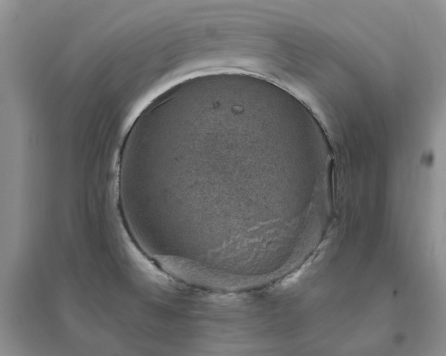 X0000094441524200711151353