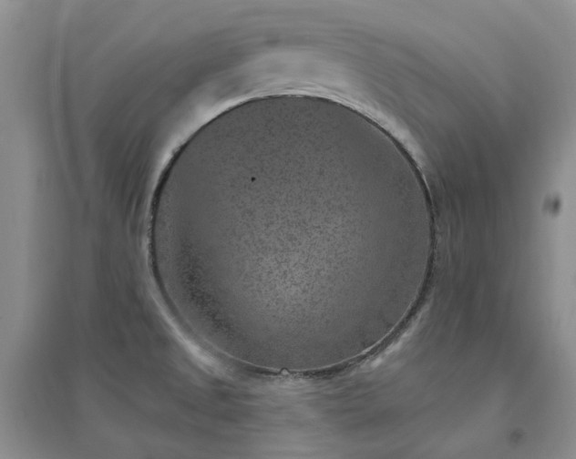 X0000094441525200711151353
