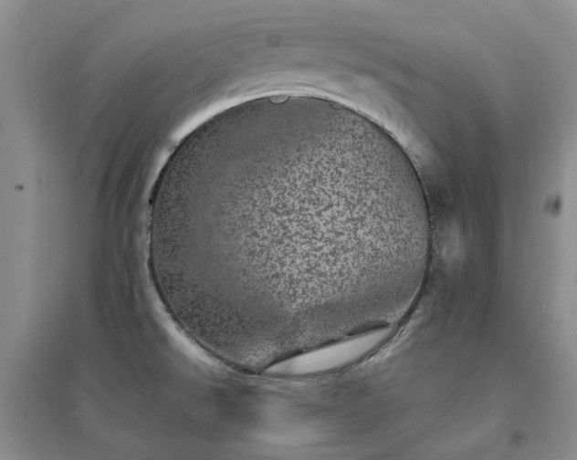 X0000094441526200711151353