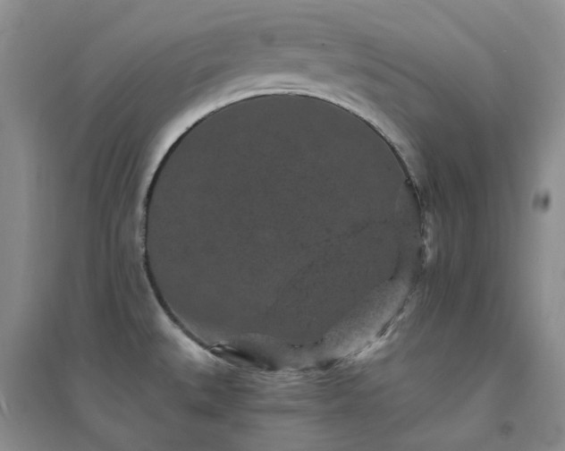 X0000094441527200711151353