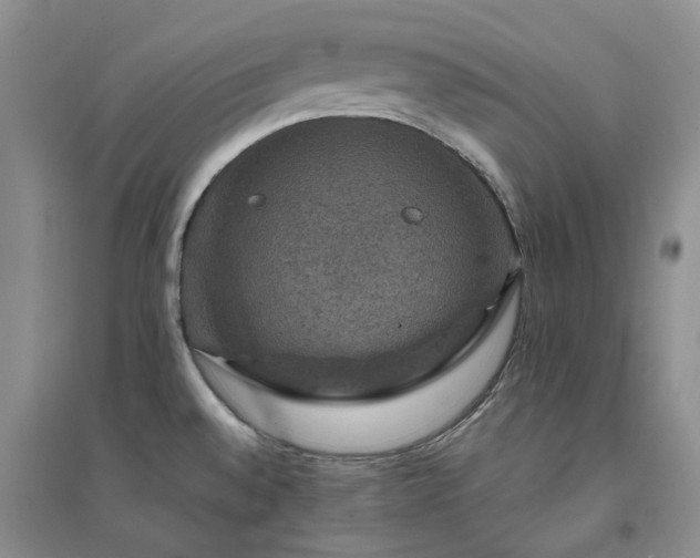 X0000094441528200711151353