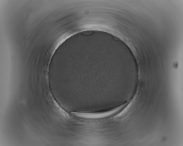 X0000094441529200711151353