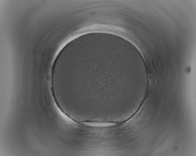 X0000094441531200711151353