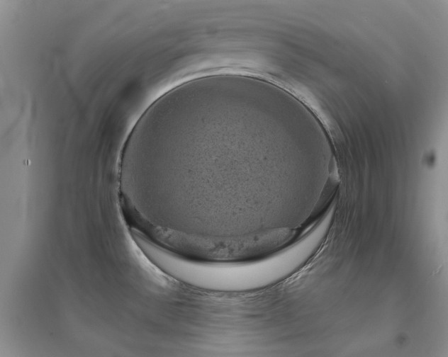 X0000094441532200711151353