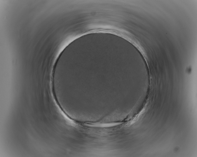 X0000094441533200711151353