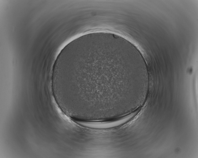 X0000094441534200711151353