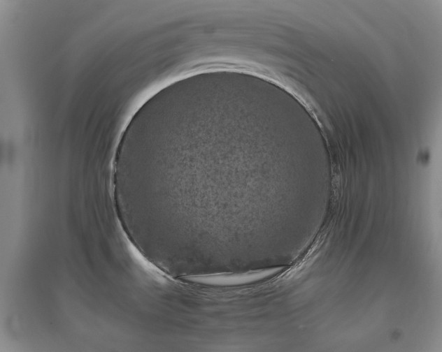 X0000094441535200711151353
