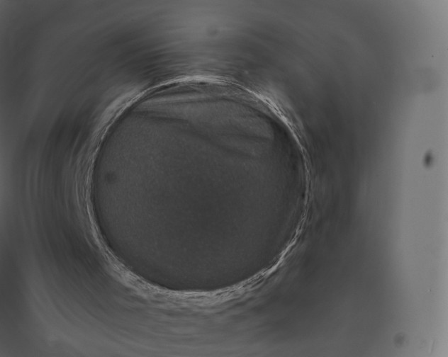 X0000094440001200711211506