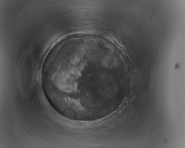 X0000094440002200711211506