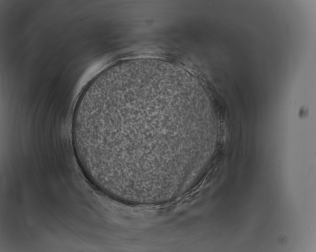 X0000094440004200711211506