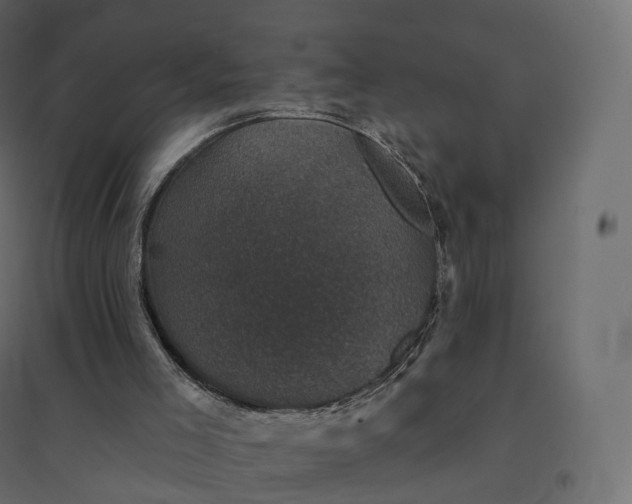 X0000094440005200711211506