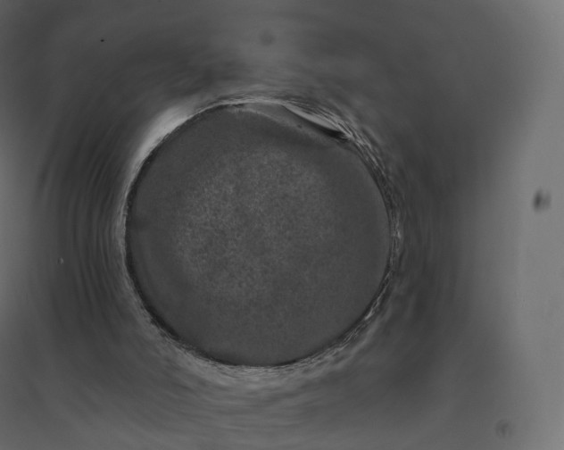 X0000094440006200711211506