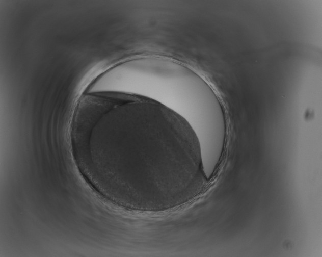 X0000094440007200711211506