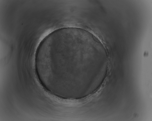 X0000094440008200711211506