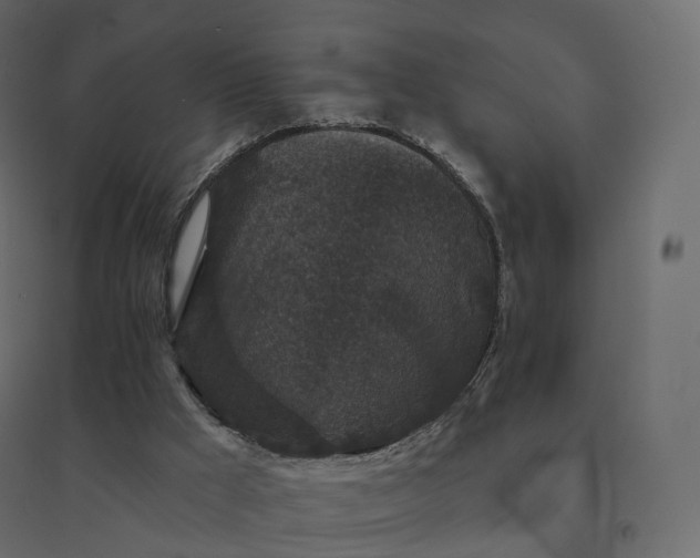 X0000094440009200711211506