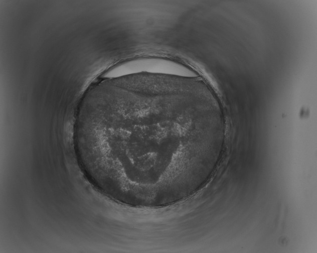 X0000094440010200711211506