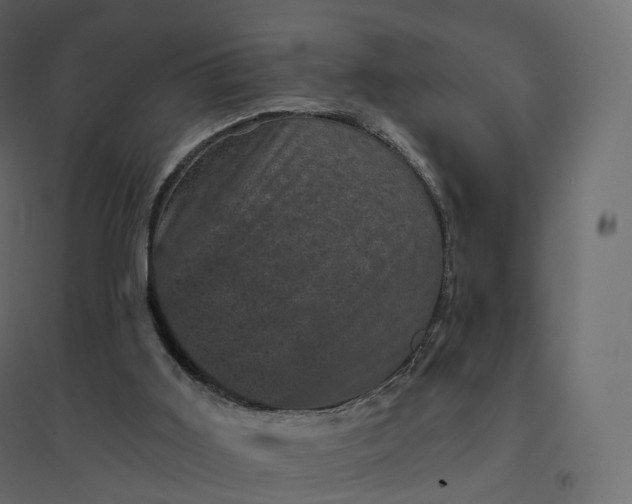 X0000094440011200711211506