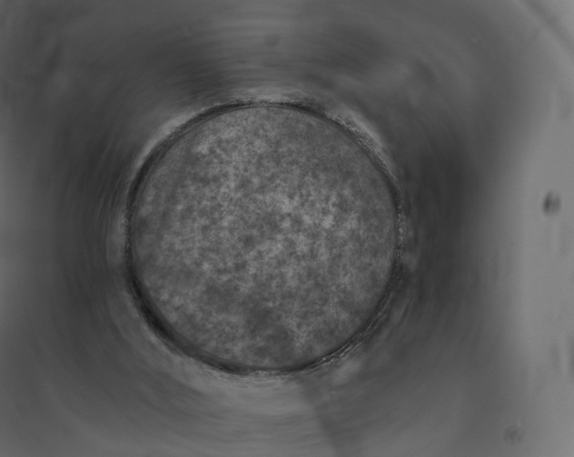 X0000094440012200711211506