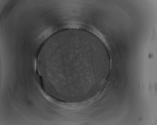 X0000094440013200711211506