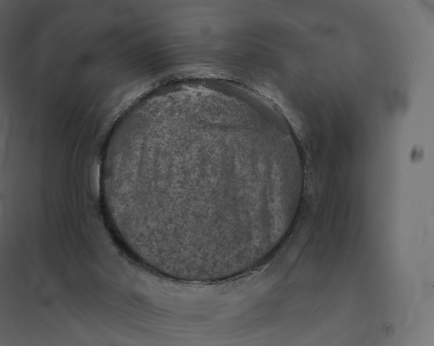 X0000094440014200711211506