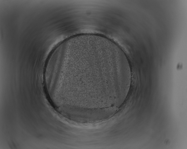 X0000094440015200711211506