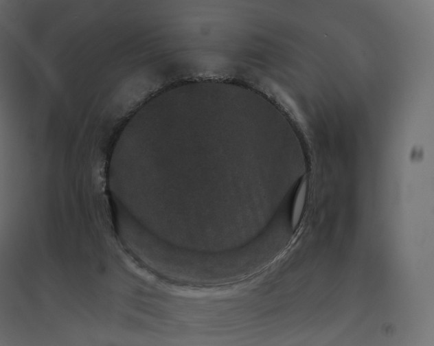 X0000094440017200711211506