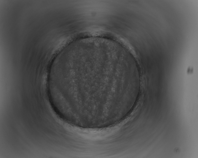 X0000094440018200711211506