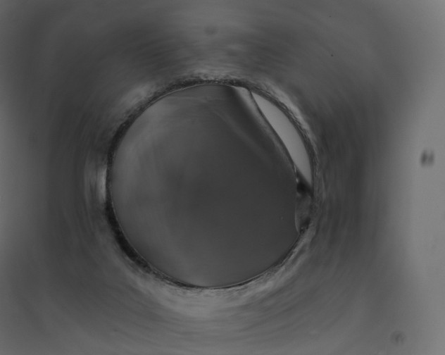 X0000094440019200711211506