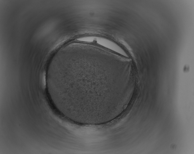 X0000094440020200711211506