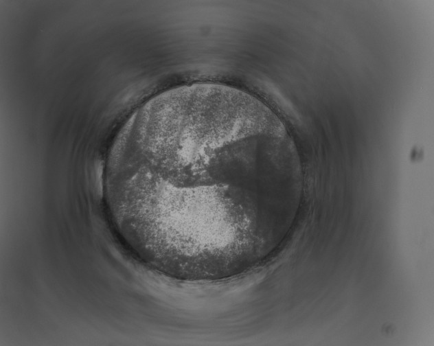 X0000094440022200711211506