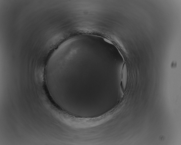 X0000094440023200711211506