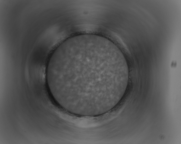 X0000094440024200711211506