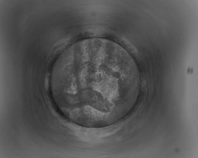 X0000094440026200711211506